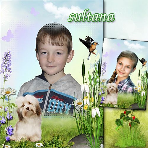 Frame for Photoshop with nature - My favorite dog Frame for Photoshop with nature - My favorite dog