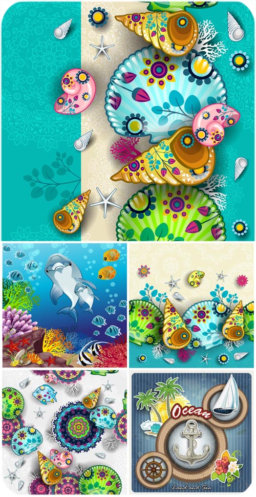 Marine elements in the vector, shells, dolphin Marine elements in the vector, shells, dolphin