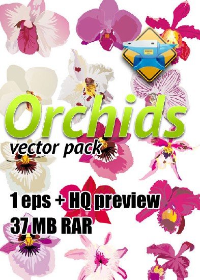 Orchids vector pack