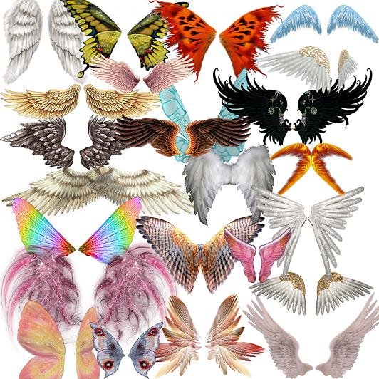 Collection Wings PSD