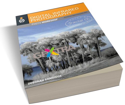 Digital Infrared Photography (Photo Workshop)