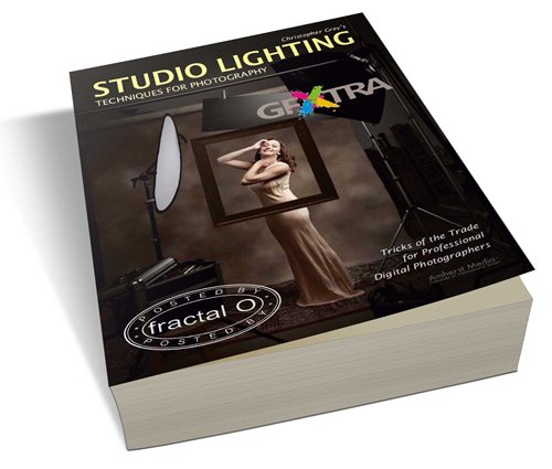 Christopher Grey's Studio Lighting Techniques for Photography: Tricks of the Trade for Professional Digital Photographers