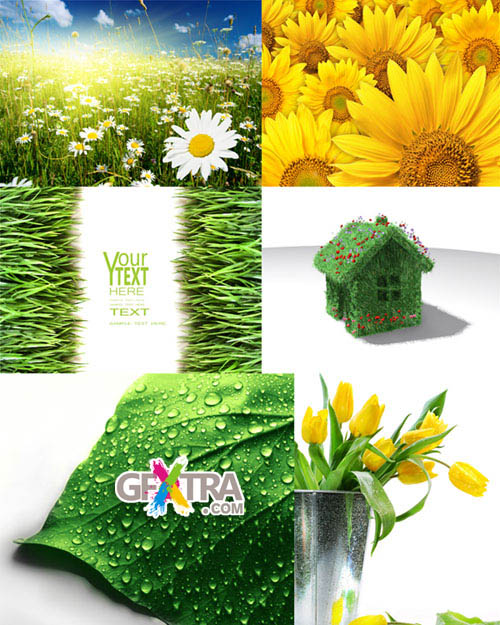 Amazing SS | Green Elements