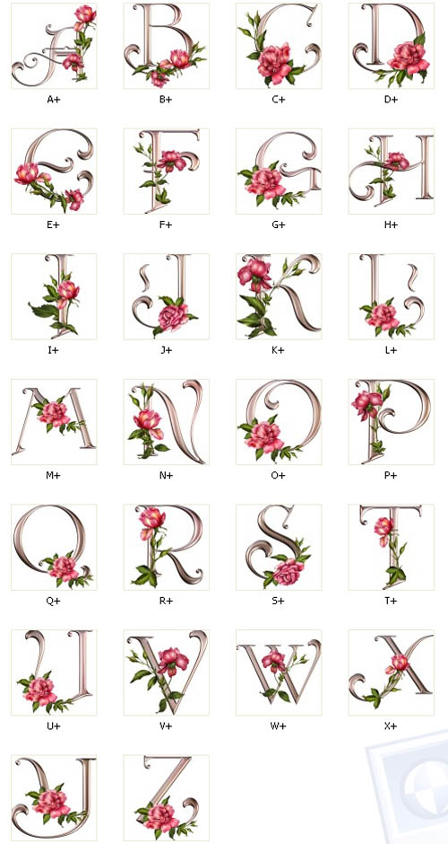 Rose Wedding Decorative Alphabet
